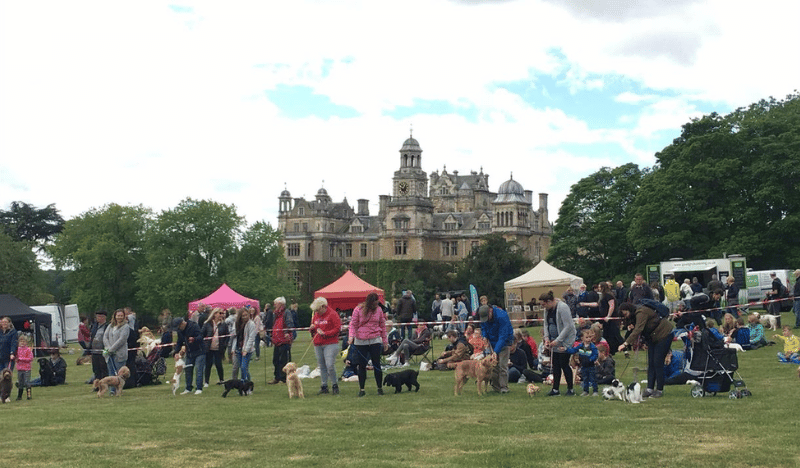 Pawsby Fun Dog Show at Thoresby Park